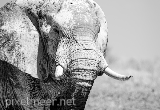Botswana